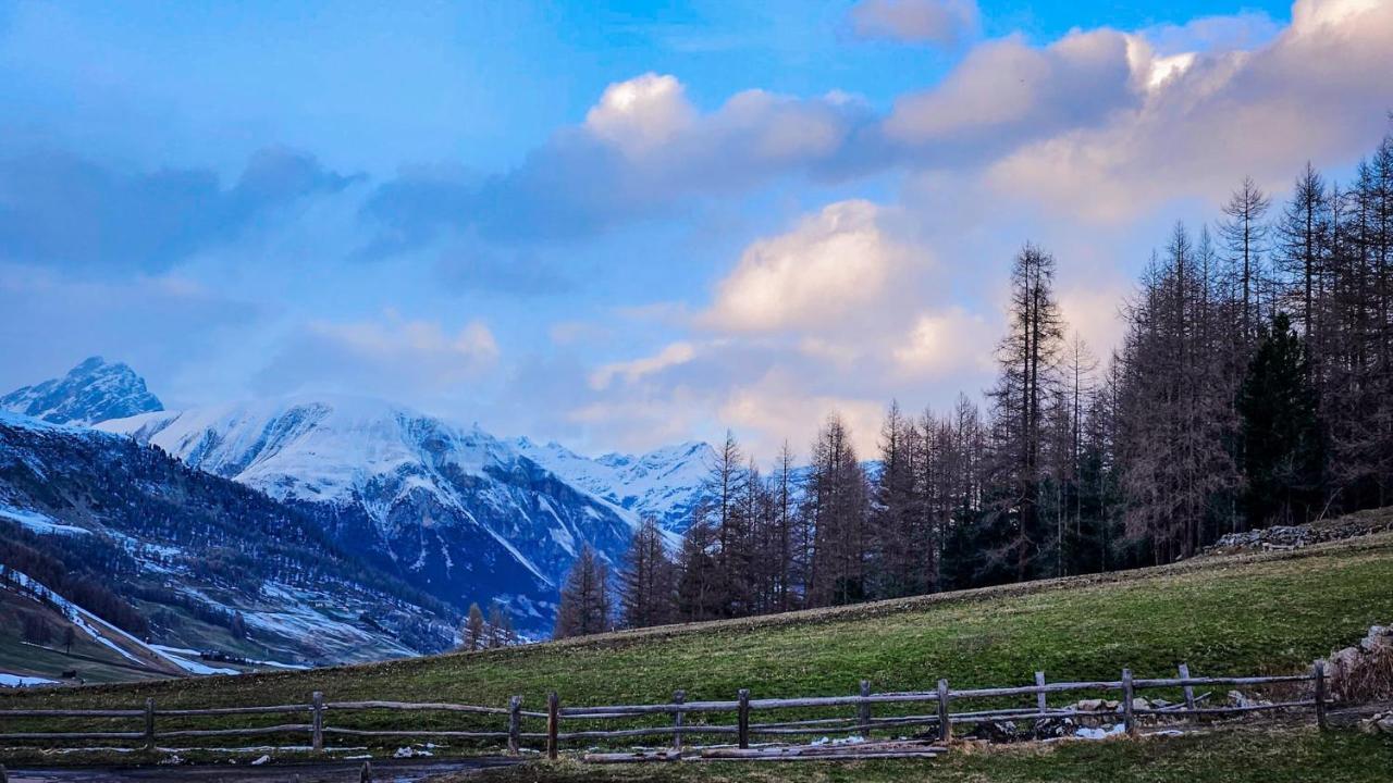 Appartamento Agriturismo Bosco D'Oro 1 Livigno Esterno foto