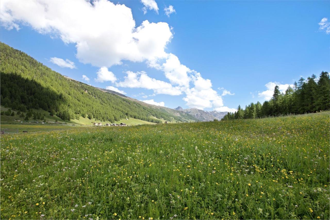 Appartamento Agriturismo Bosco D'Oro 1 Livigno Esterno foto